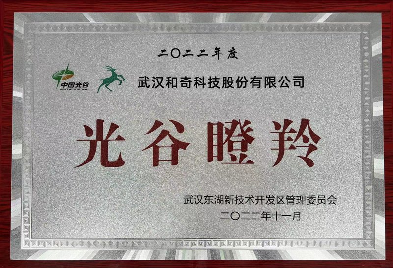 软件定制开发：推动企业数字化转型的催化剂